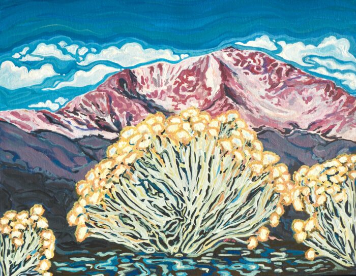 Front Range Rabbitbrush