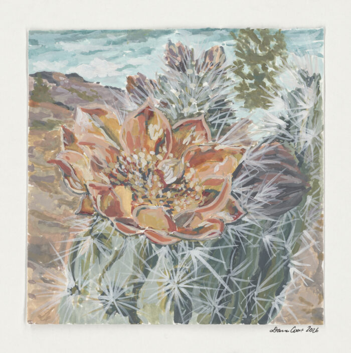 Cactus Blossom