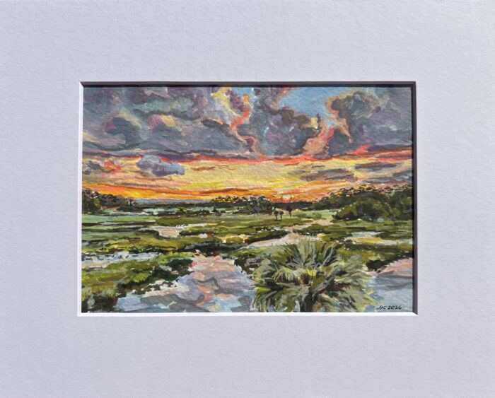 Crystal River Estuary Study