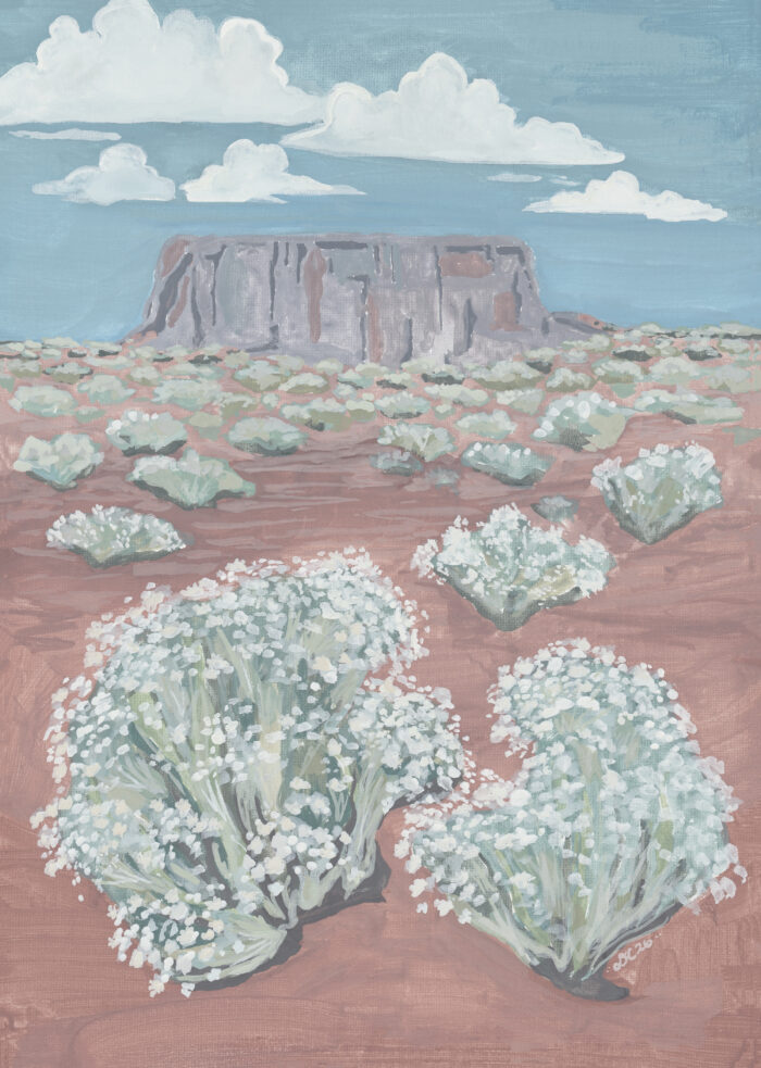 Clouds Above the Mesa