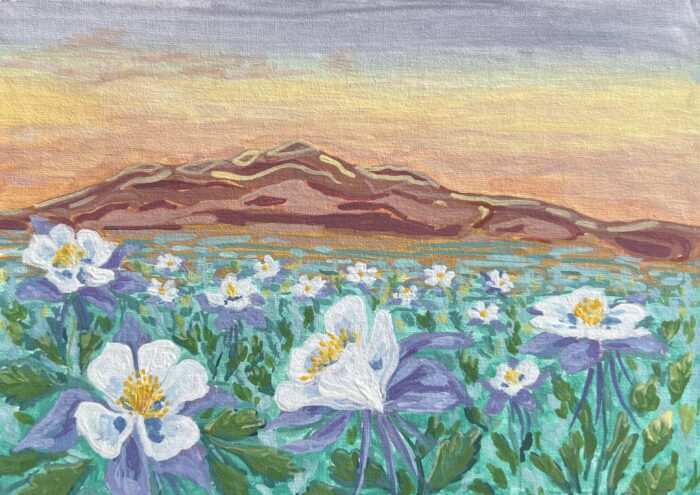 Field of Columbines
