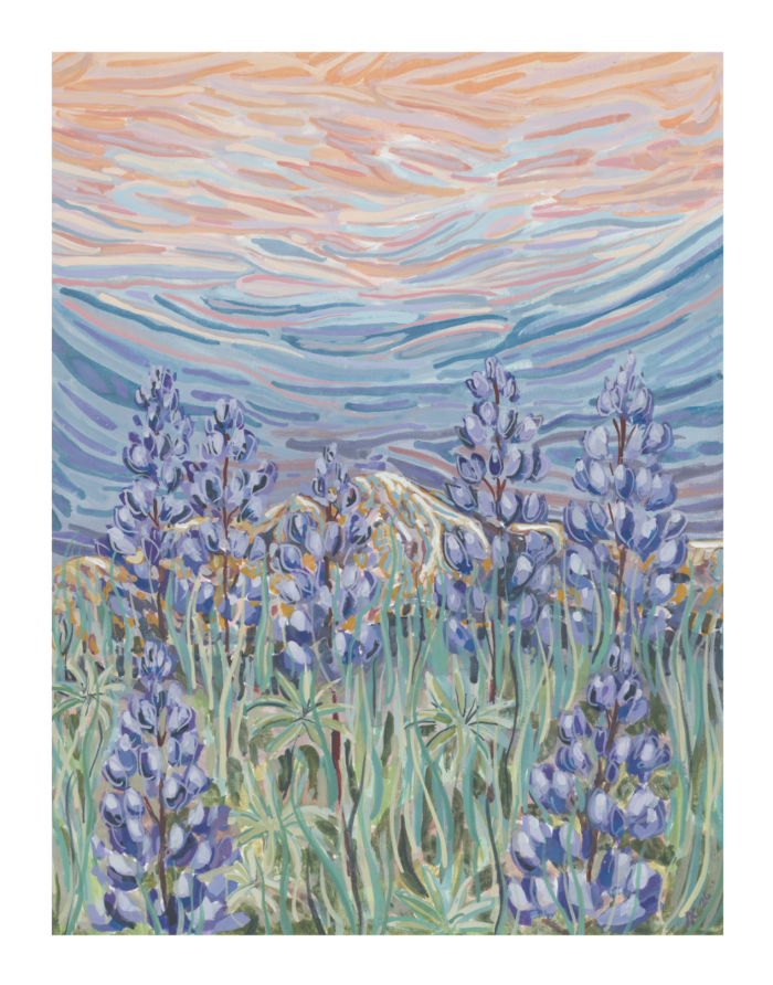 Lupine Bloom Fine Art Print