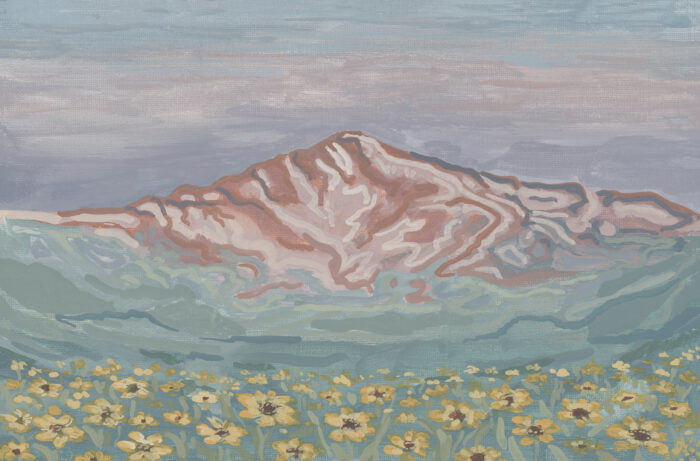 Mountain in the Sky