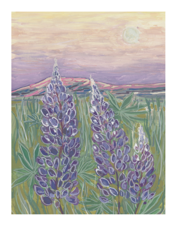 Three Lupines Fine Art Print