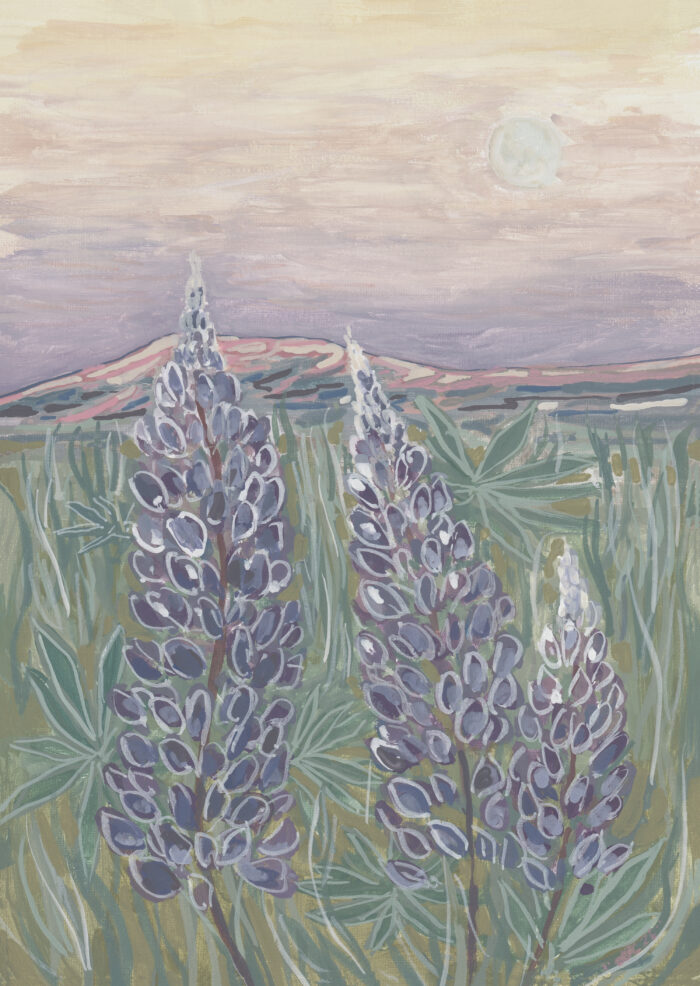 Three Lupines